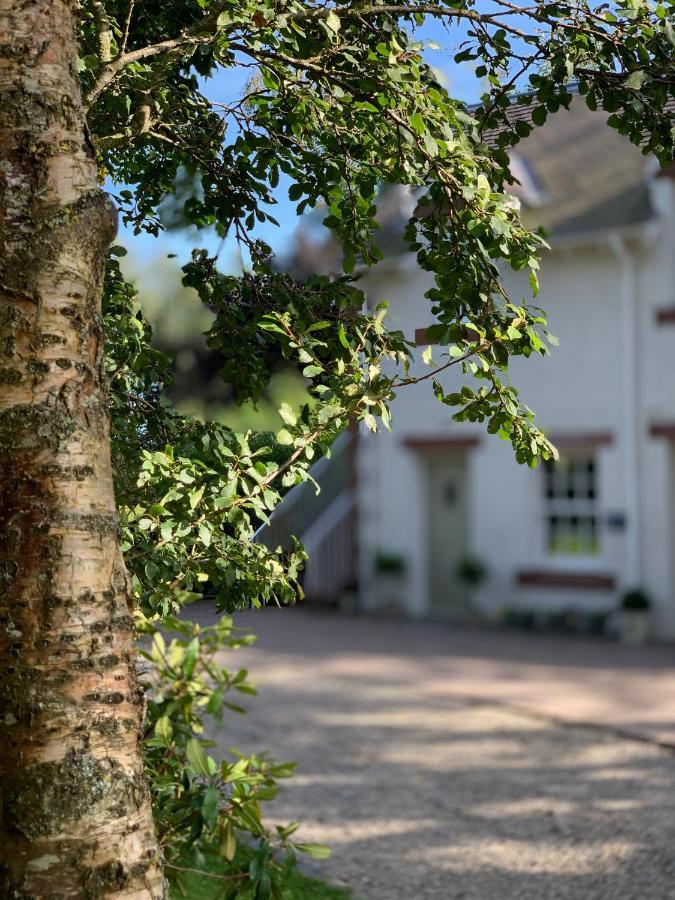 The Ghillie Bed & Breakfast Melrose Luaran gambar
