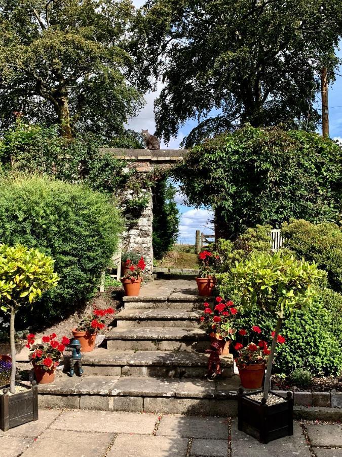 The Ghillie Bed & Breakfast Melrose Luaran gambar